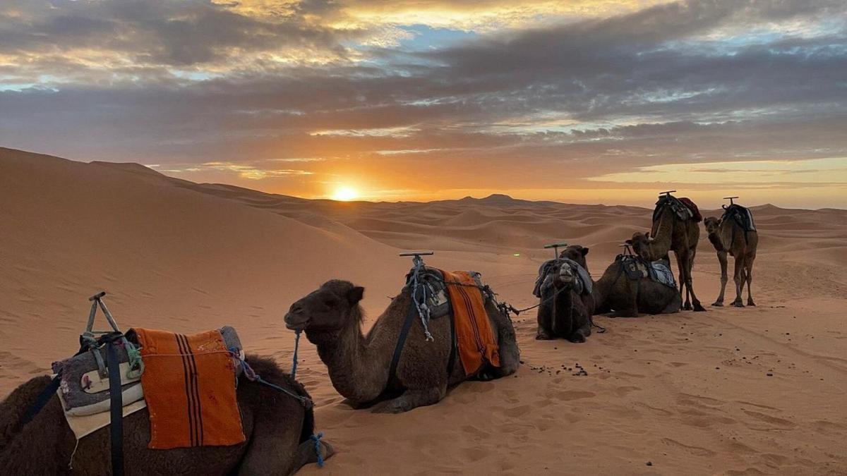 Chegaga Desert Trips M'Hamid Bagian luar foto